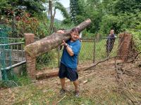 2023/7/18暖暖門訓鋸樹行